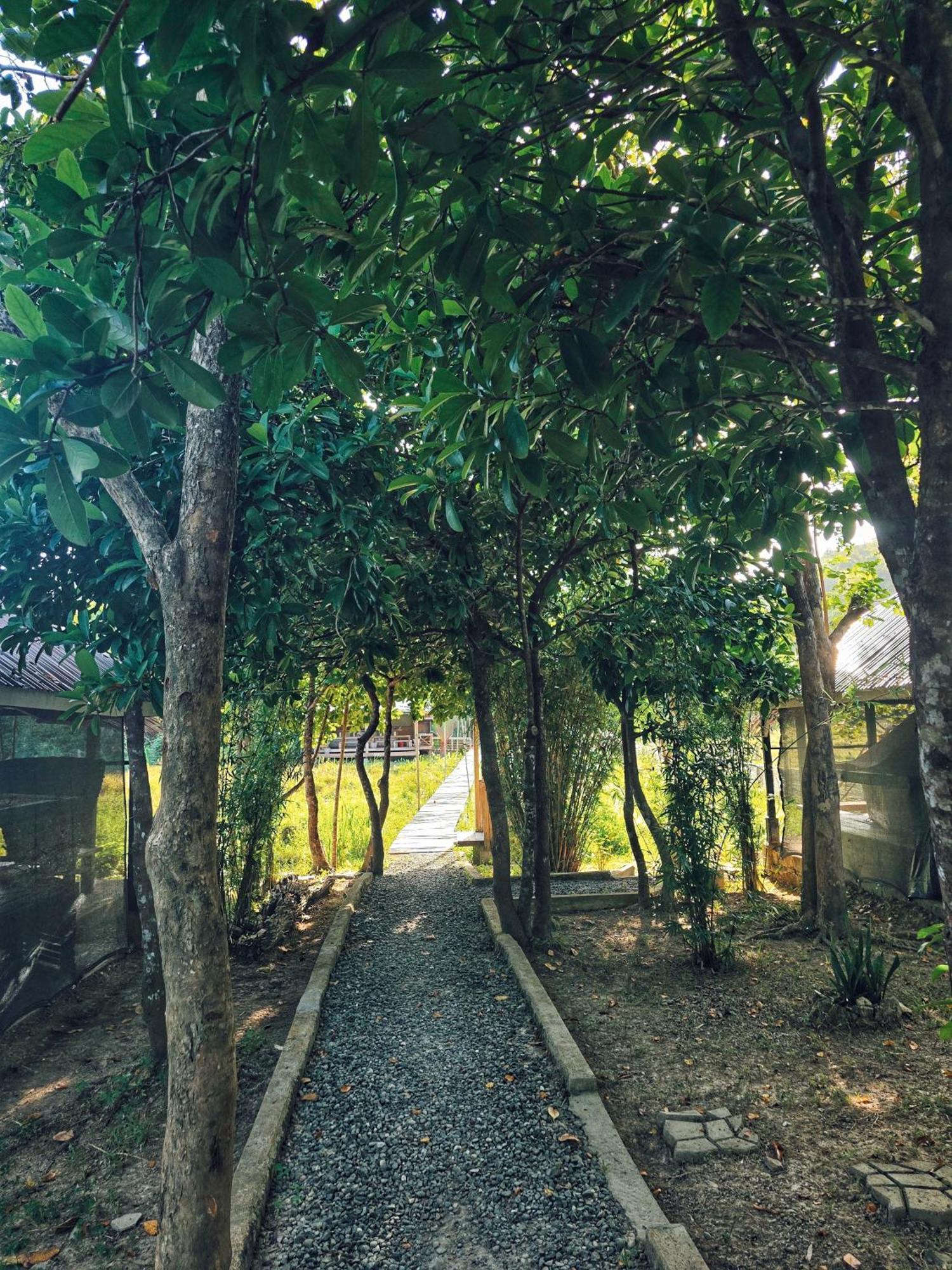 Cabanas De Nacpan Camping Resort เอลนิโด ภายนอก รูปภาพ